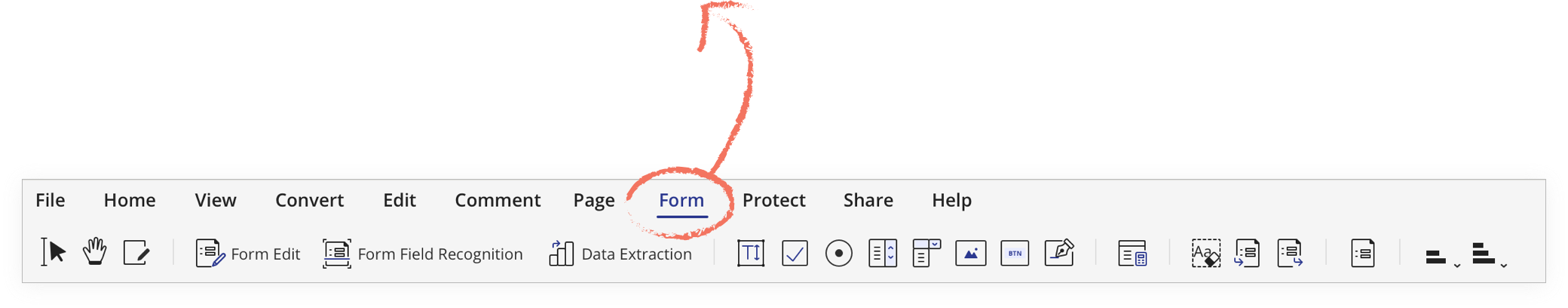 pdf form icon