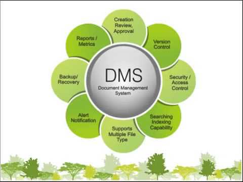 what is a document management system