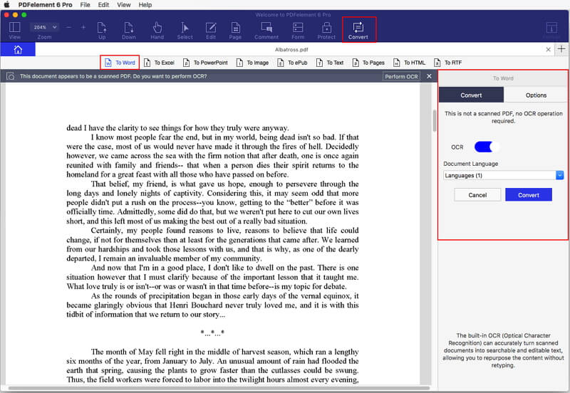 how to convert pdf to word on macbook