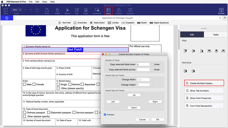 add multilple text field