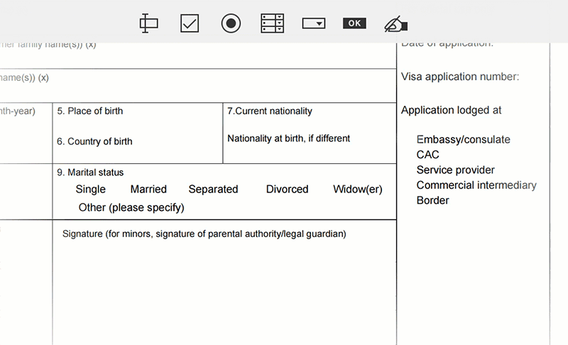 build pdf form