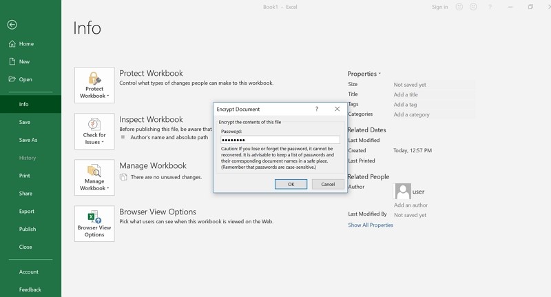 encrypt excel file 2019