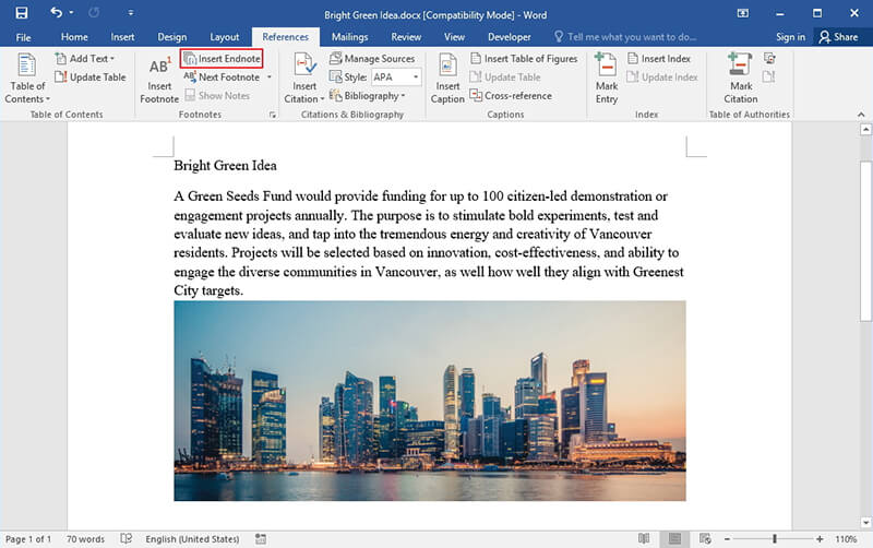 add endnote to word 2013