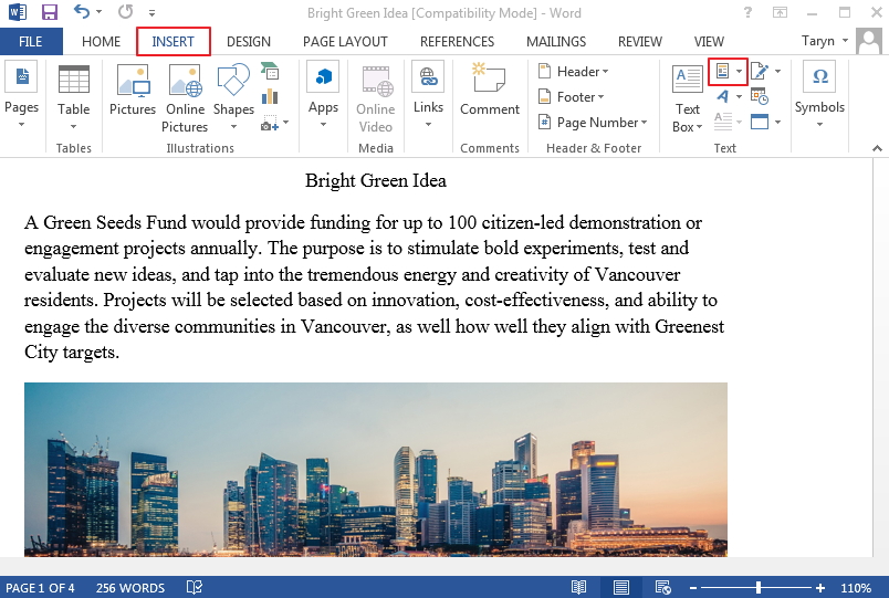 Steps to Insert Field in Word File