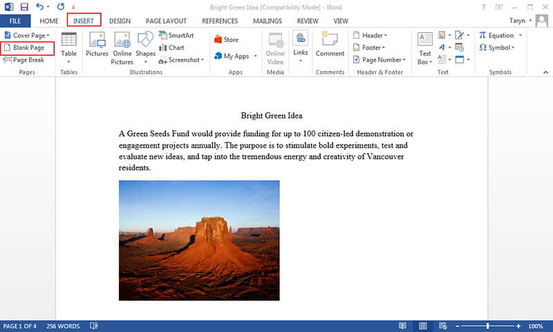 how to insert page in word without header