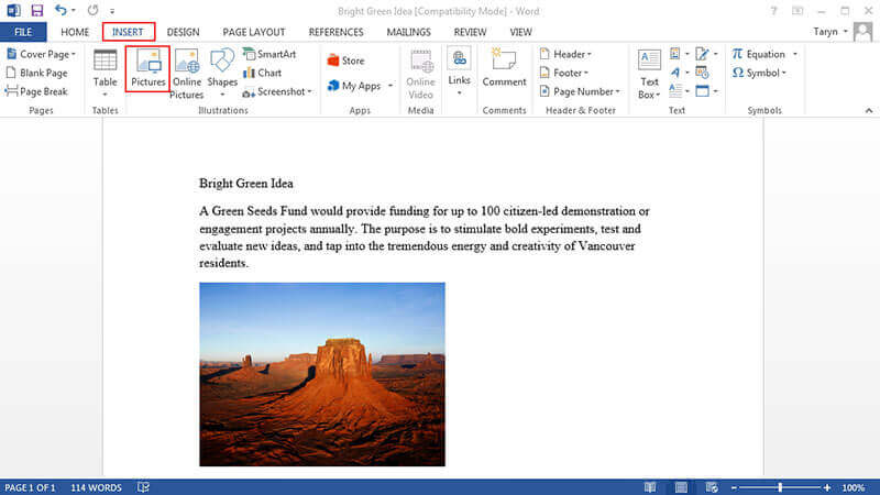 How To Insert Image In Word